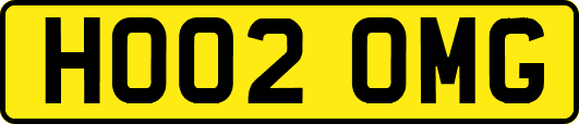 HO02OMG