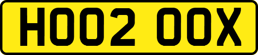 HO02OOX