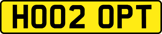 HO02OPT