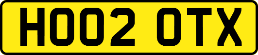 HO02OTX