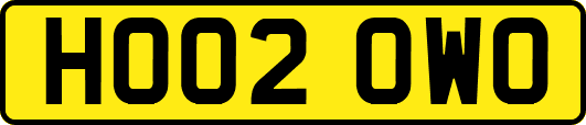 HO02OWO