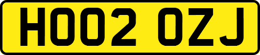 HO02OZJ