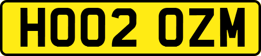 HO02OZM