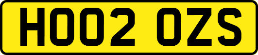 HO02OZS