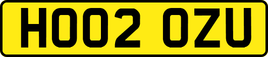 HO02OZU