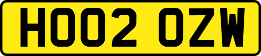 HO02OZW