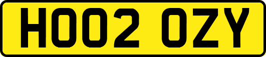 HO02OZY