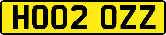 HO02OZZ