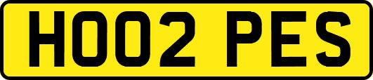 HO02PES