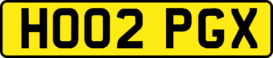 HO02PGX