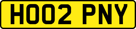 HO02PNY