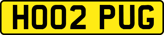 HO02PUG