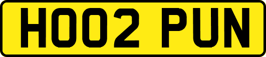 HO02PUN