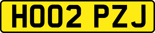 HO02PZJ