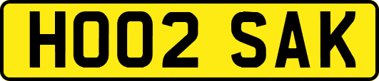 HO02SAK