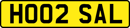 HO02SAL