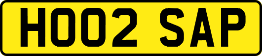 HO02SAP