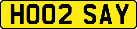 HO02SAY