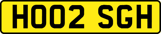 HO02SGH