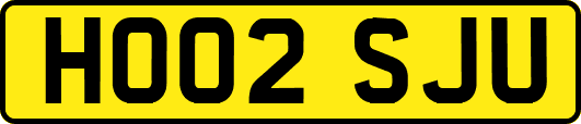 HO02SJU
