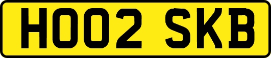 HO02SKB