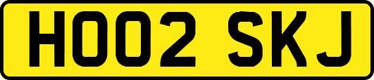 HO02SKJ