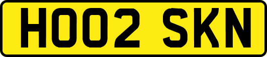 HO02SKN