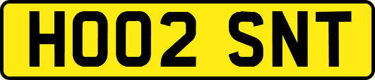 HO02SNT