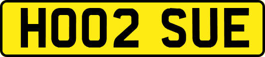 HO02SUE
