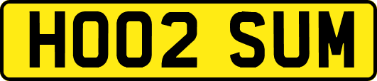 HO02SUM