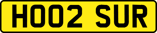 HO02SUR
