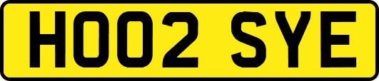 HO02SYE
