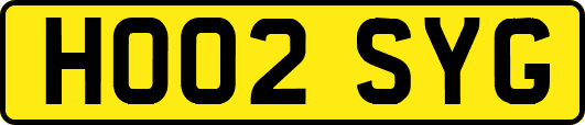 HO02SYG