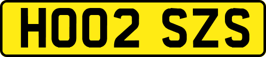HO02SZS