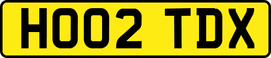 HO02TDX