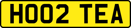 HO02TEA