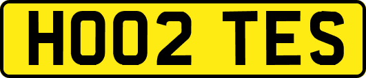 HO02TES