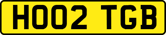 HO02TGB