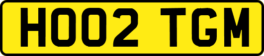 HO02TGM