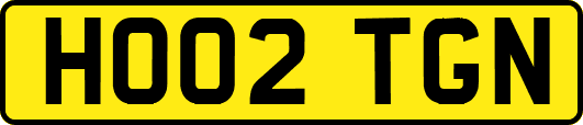 HO02TGN