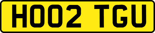 HO02TGU