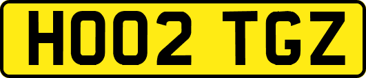 HO02TGZ