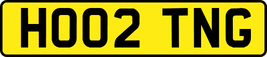 HO02TNG
