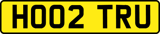 HO02TRU