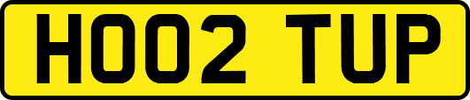 HO02TUP