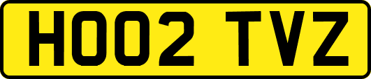 HO02TVZ