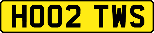 HO02TWS