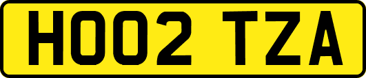 HO02TZA
