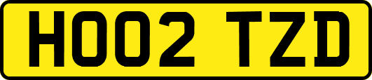 HO02TZD