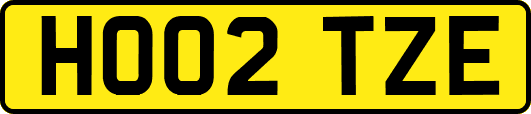HO02TZE